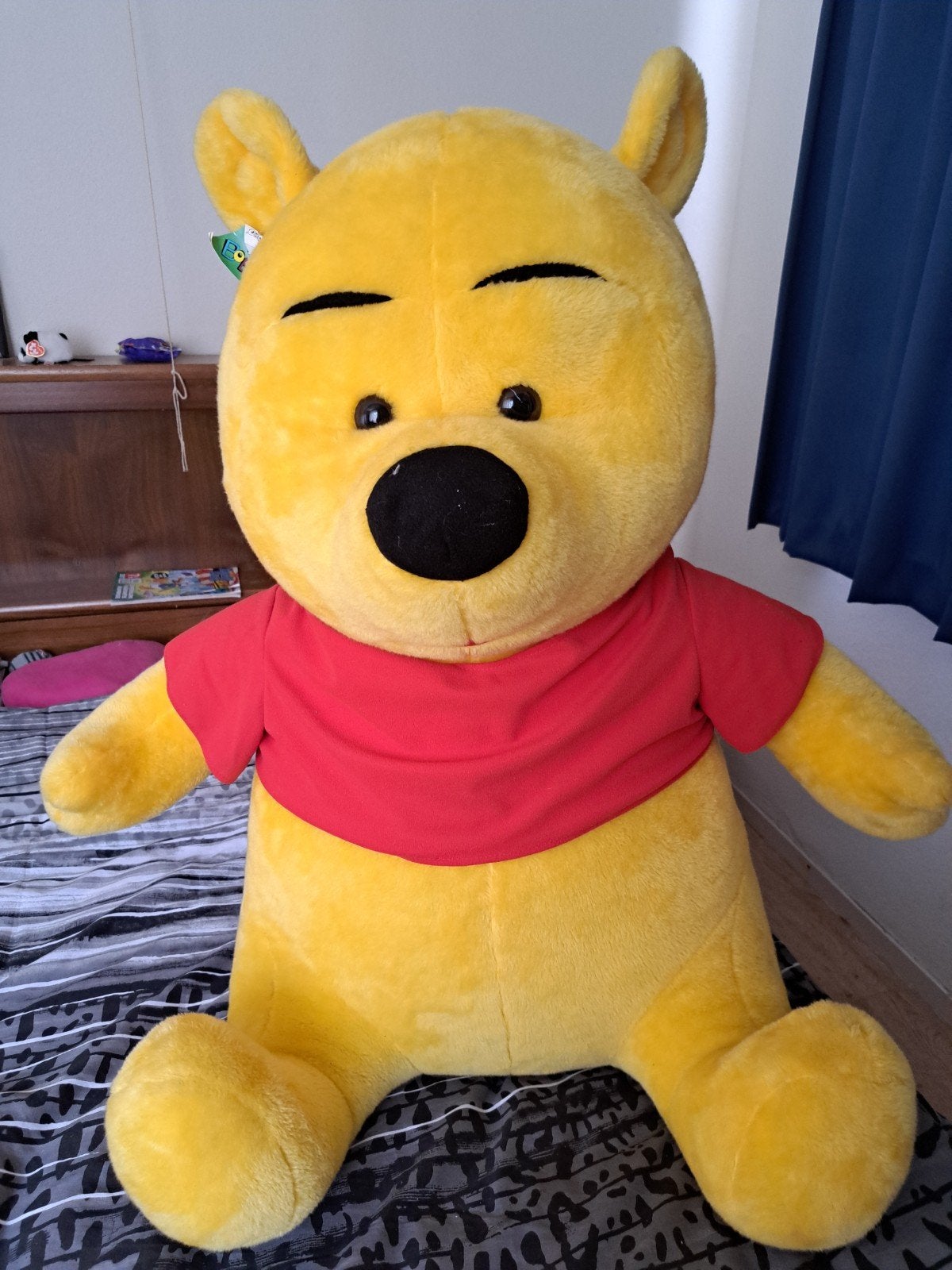 Grote Winnie de Poeh knuffel, Ophalen, Zo goed als nieuw, Beer