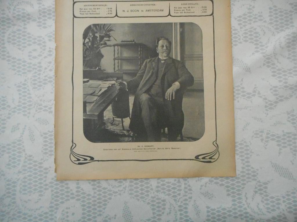Artis. Dr. C. Kerbert. Giraffe. 1905., Verzamelen, Tijdschriften, Kranten en Knipsels, Knipsel(s), Nederland, Voor 1920, Ophalen of Verzenden