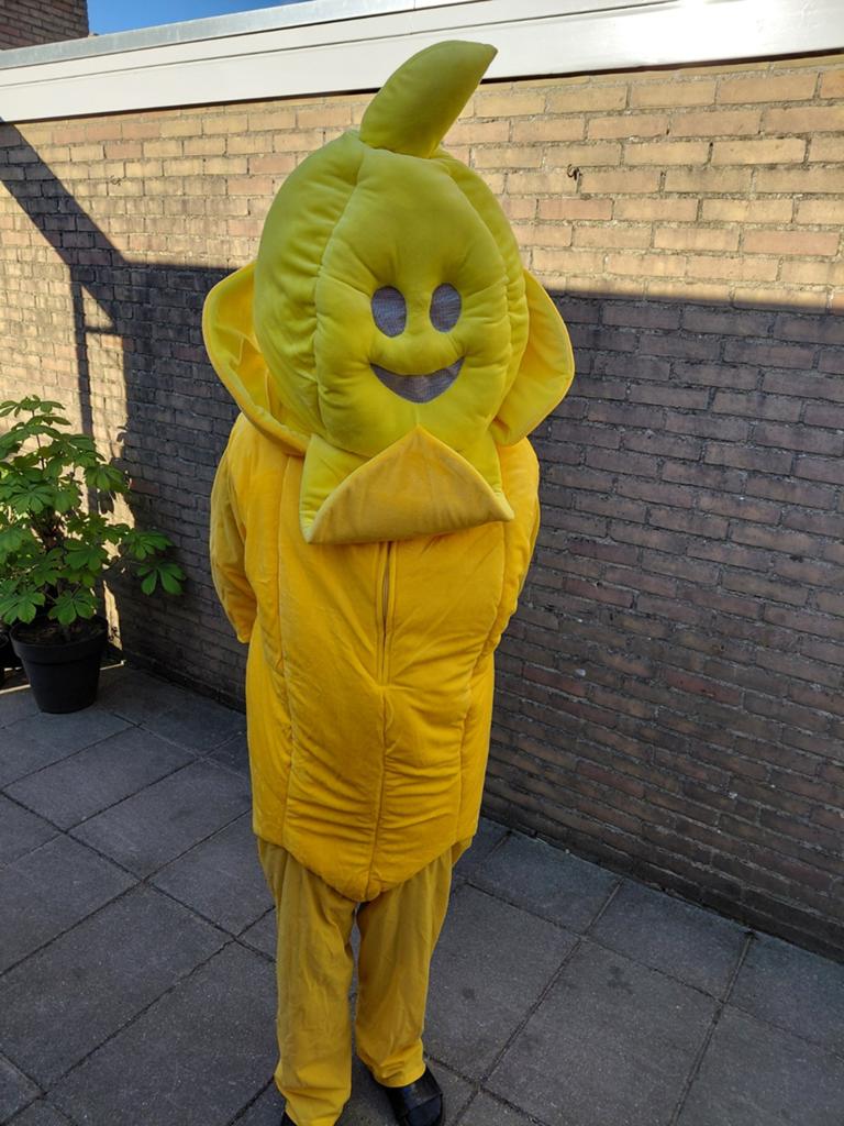Verkleedpak voor volwassenen, Ophalen
