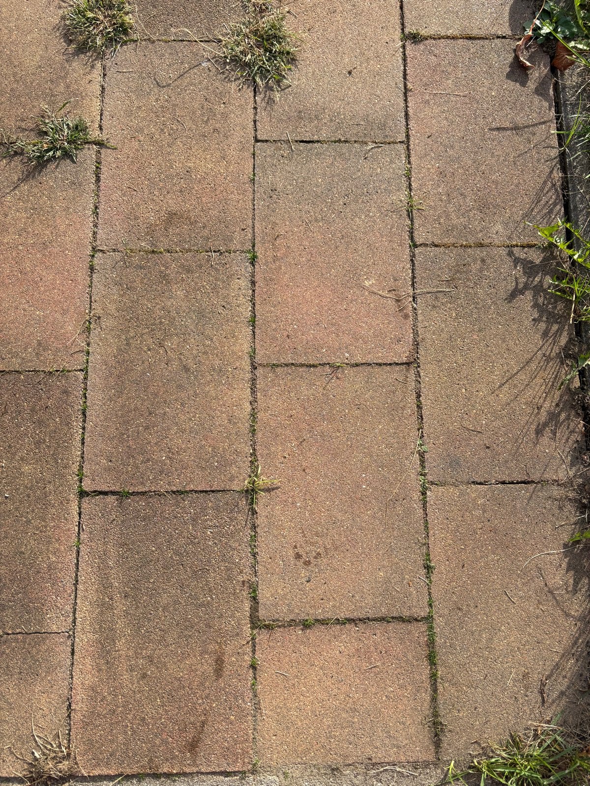 Gratis Tegels 140 stuks van 30x20x5 cm ophalen in Zutphen, Ophalen, Gebruikt, 10 m² of meer, Beton