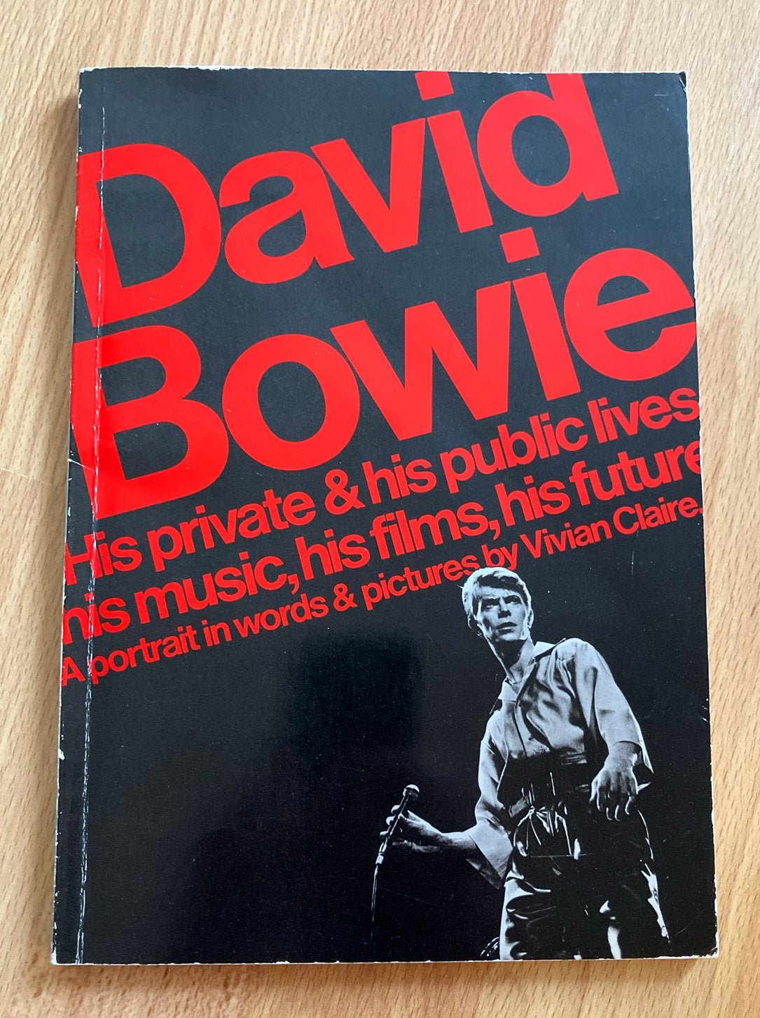 David Bowie: His private & his public lives - Boek, Boeken, Muziek, Ophalen of Verzenden, Gelezen, Artiest