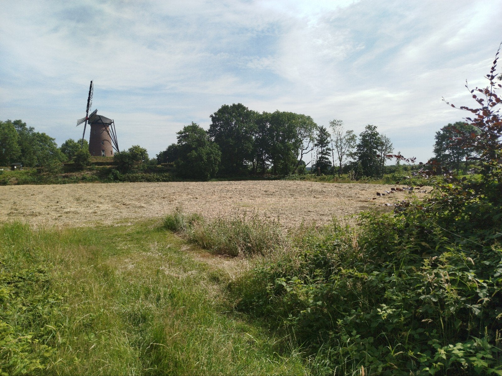 HOOI van de eerste snede; kleine pakjes., Ophalen, Vee