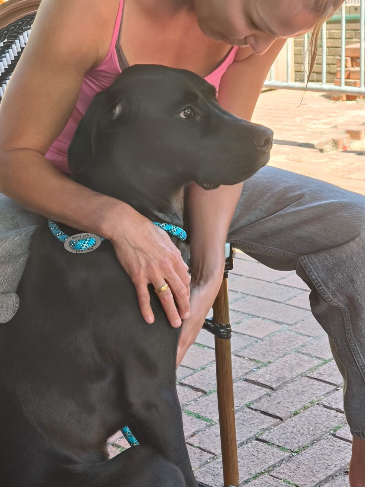 Half Dober/Canne Corso 6 maanden oud, Dieren en Toebehoren, Honden | Niet-rashonden, 15 weken tot 1 jaar, Teef, Eén hond, Nederland