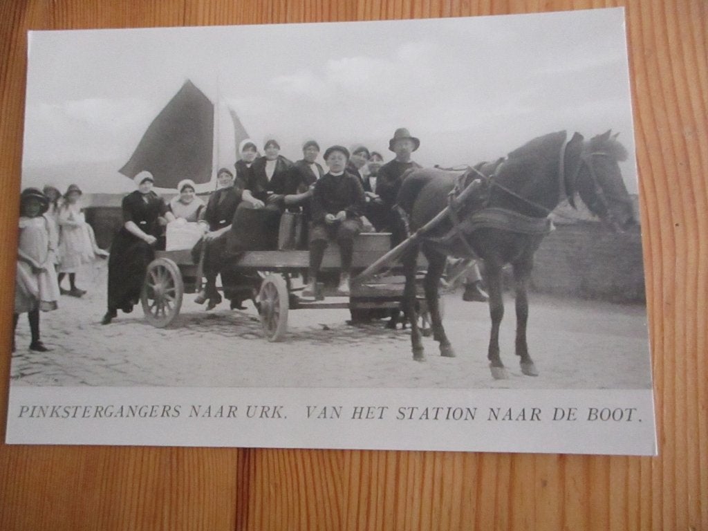 ansichtkaart, Ophalen of Verzenden, Ongelopen, Flevoland