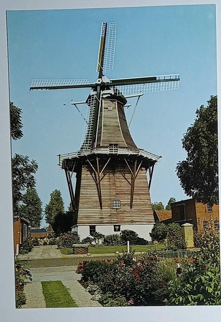 Grijpskerk ( Gr. ) Molen De Kievit, Verzenden, 1980 tot heden, Ongelopen, Groningen