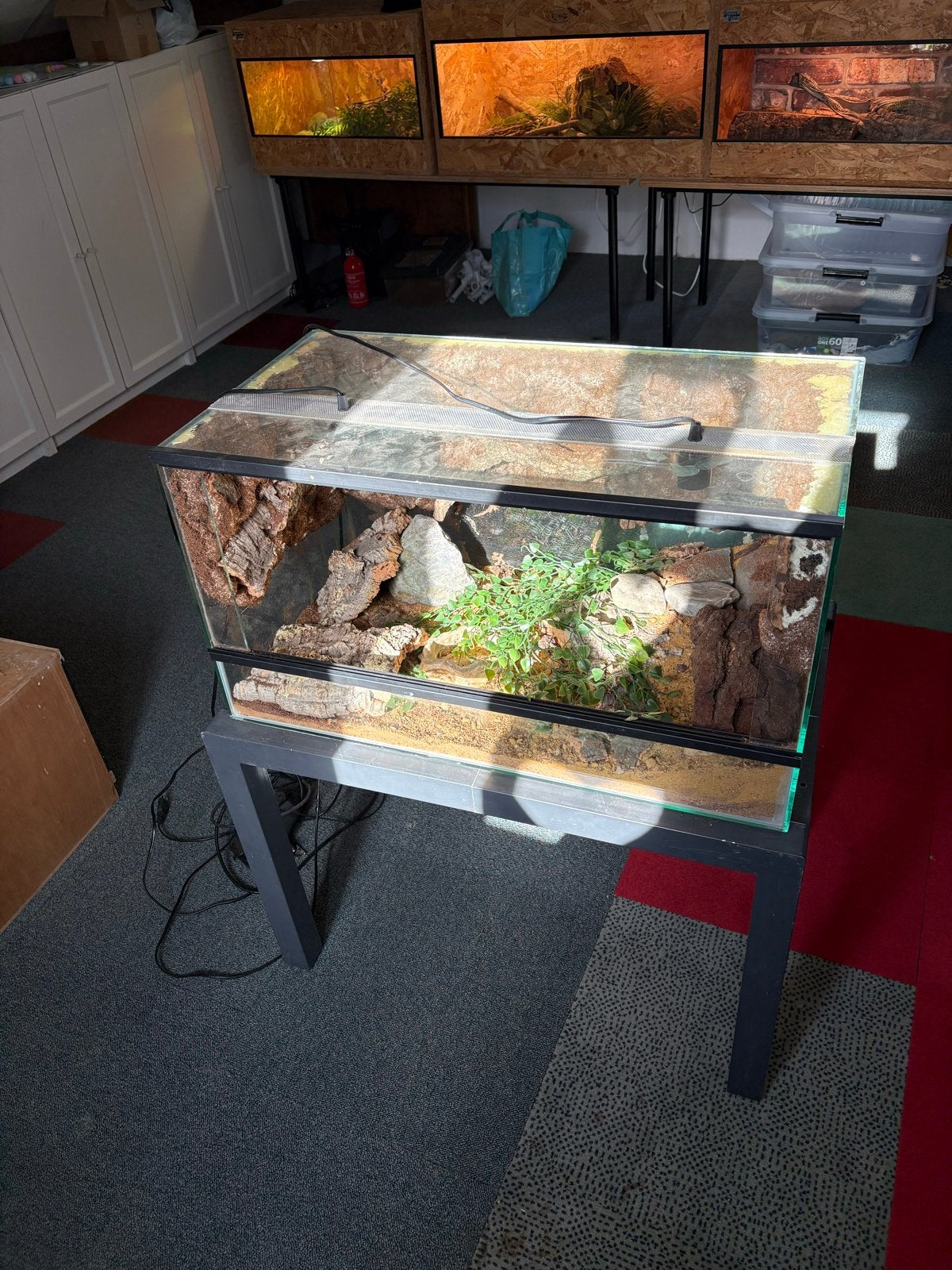Custom made terrarium, Ophalen