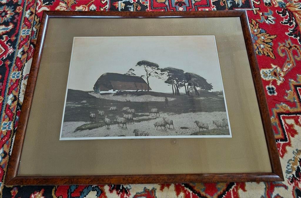 Prachtige grote ets van Tjeerd Bottema, Antiek en Kunst, Kunst | Etsen en Gravures, Ets, 77 cm, Ophalen of Verzenden, 57 cm
