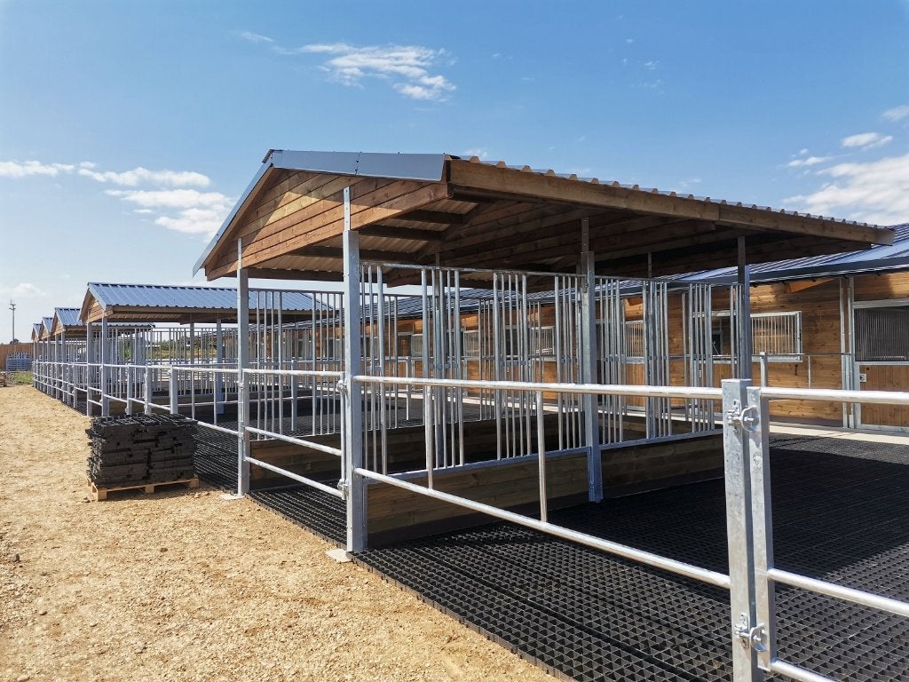 Paardenvoerbakken kopen & robuuste Voerbakken, Opfok