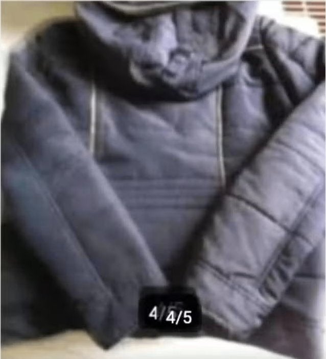 Dames ski jack bruin mt L merk LIV., Kleding | Dames, Maat 38/40 (M), Ophalen of Verzenden, Zo goed als nieuw, Jack