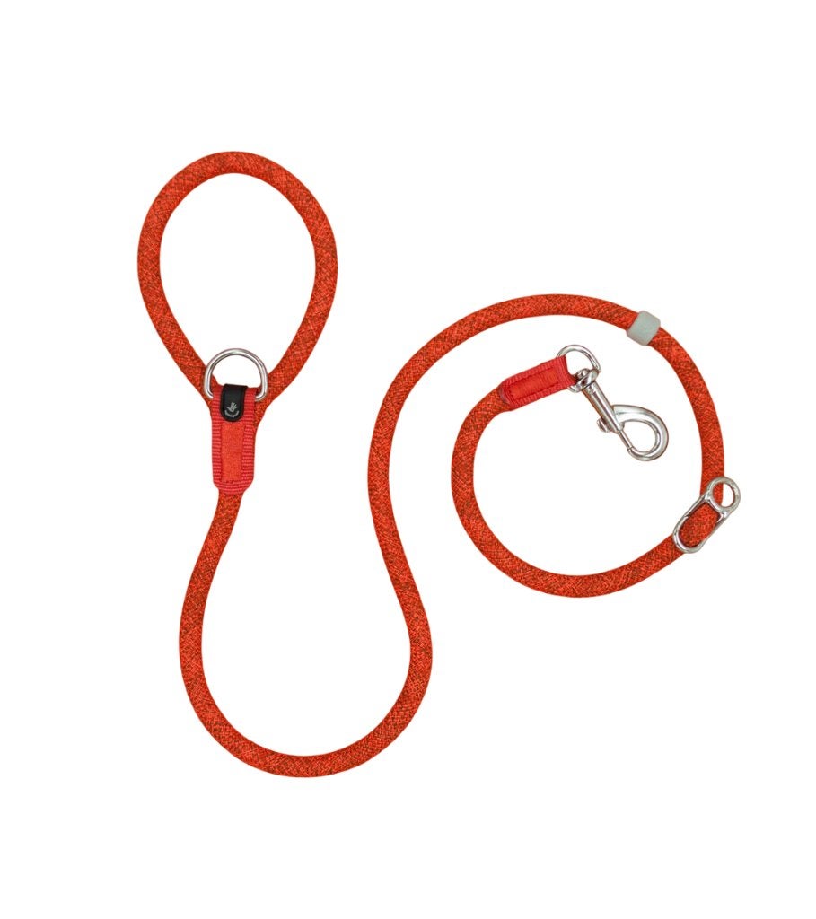 H5D Leader Leash Hondenlijn Oranje 13 mm x 140 cm KOOPJE!!!, Dieren en Toebehoren, Hondenriemen, Ophalen of Verzenden, Nieuw, Hondenriem