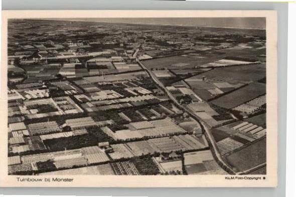 Tuinbouw bij Monster KLM luchtfoto, Verzenden, 1940 tot 1960, Ongelopen, Zuid-Holland