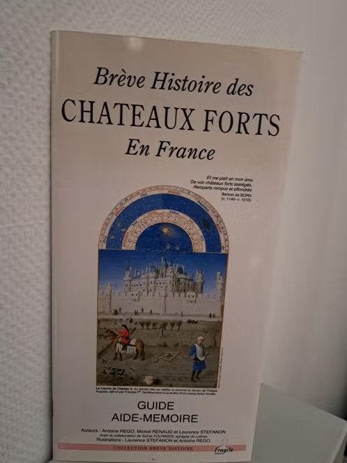 Brève Histoire des CHATEAUX FORTS en France, Ophalen of Verzenden, Zo goed als nieuw, Europa