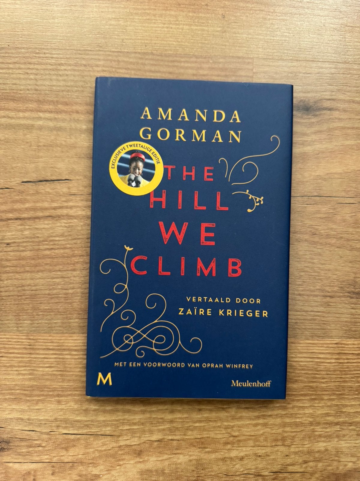 Boek The hill we climb.. Amanda Gorman, Ophalen of Verzenden, Zo goed als nieuw