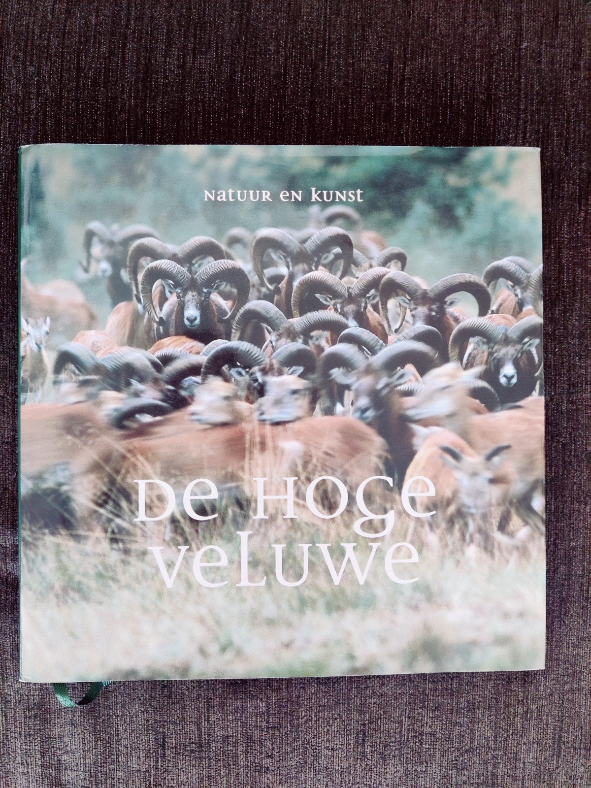 De Hoge Veluwe - natuur en kunst, Ophalen of Verzenden, Zo goed als nieuw