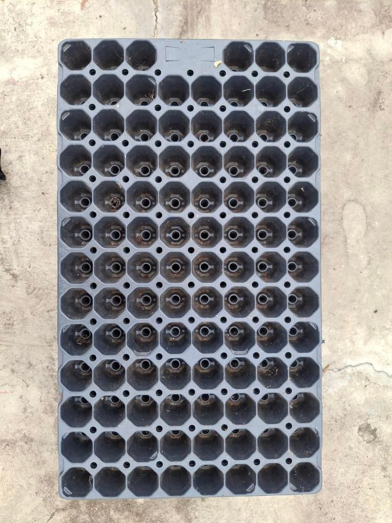 Stek trays of zaaien trays. Zaaibakken, Tuin en Terras, Ophalen, Kunststof, Rond, Minder dan 40 cm