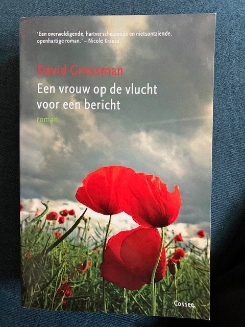 David Grossman / Een vrouw op de vlucht voor een bericht, Boeken, Wereld overig, Ophalen of Verzenden, Zo goed als nieuw, David Grossman