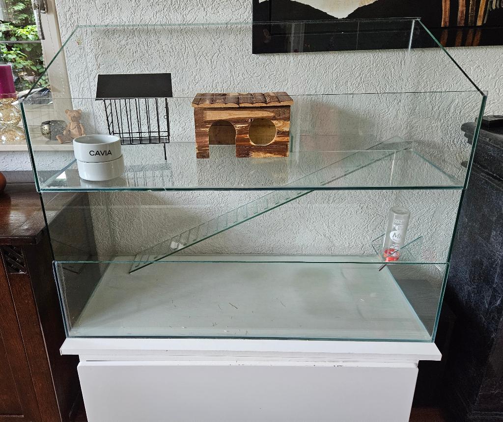 Caviahok van glas, Ophalen, Gebruikt, 60 tot 90 cm, Hok