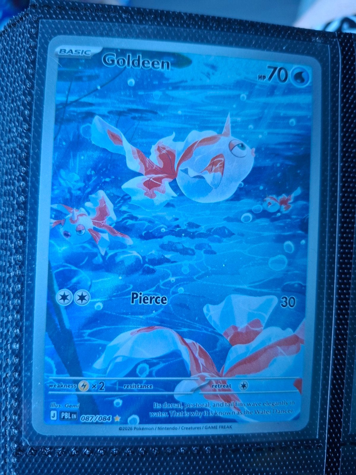 goldeen 87/84 pitch black art rare, Ophalen of Verzenden, Nieuw
