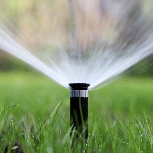 Gezocht iemand die waterbron kan spuiten, Ophalen, Nieuw