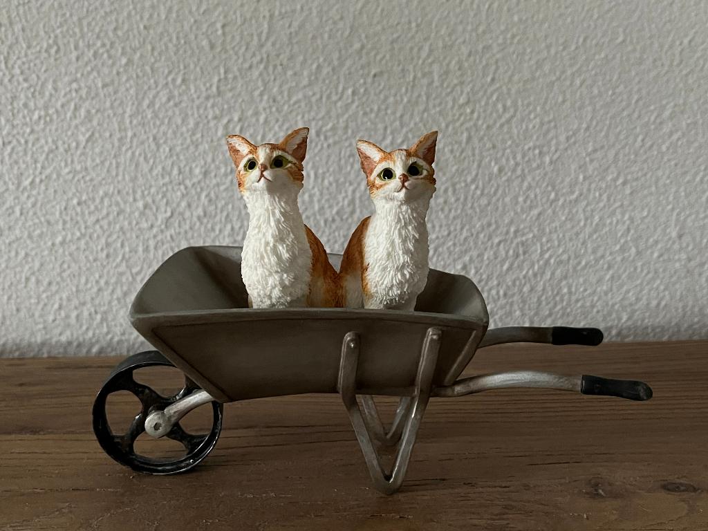Katten in de kruiwagen The Leonardo Collection, Verzamelen, Ophalen of Verzenden, Zo goed als nieuw, Dier