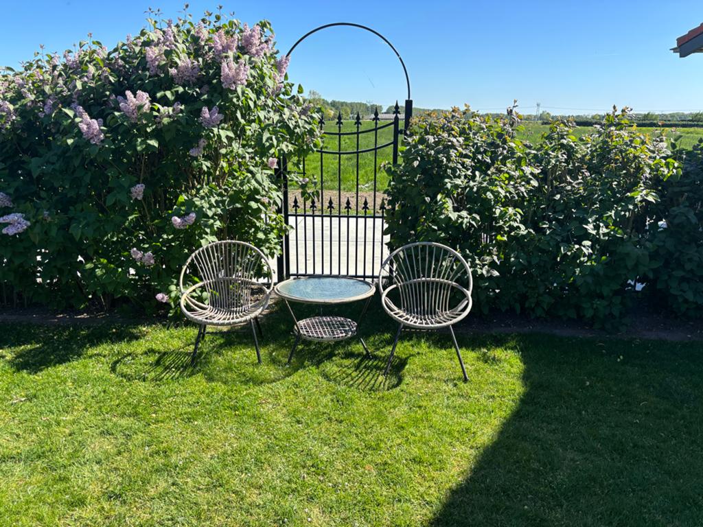 Vintage rotan tuinset met glazen tafel, Ophalen, Gebruikt, Rotan