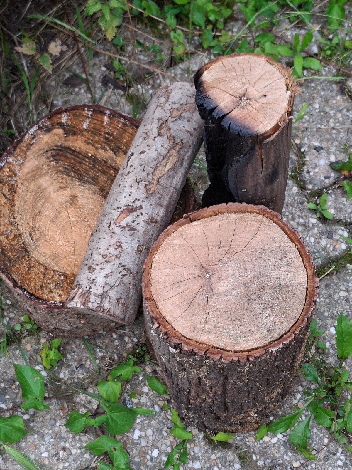 Haardhout, schoon en droog, Tuin en Terras, Haardhout, Minder dan 3 m³, Ophalen