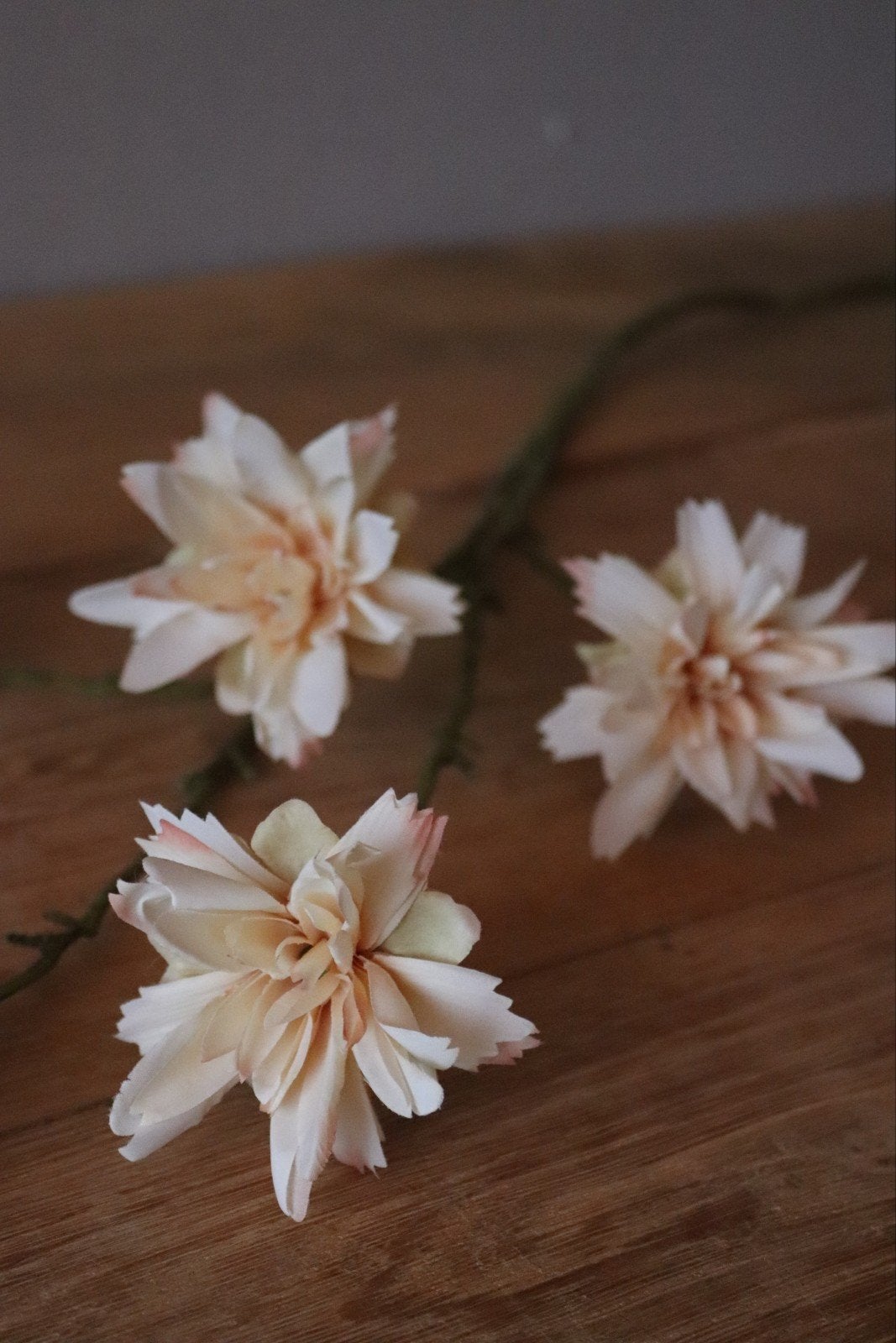 2x Pronto Wonen kunsttakken / bloementakken zachtroze cream, Ophalen of Verzenden, Zo goed als nieuw