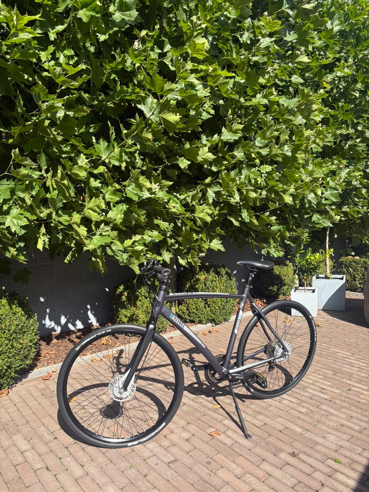 Gazelle CityZen S9