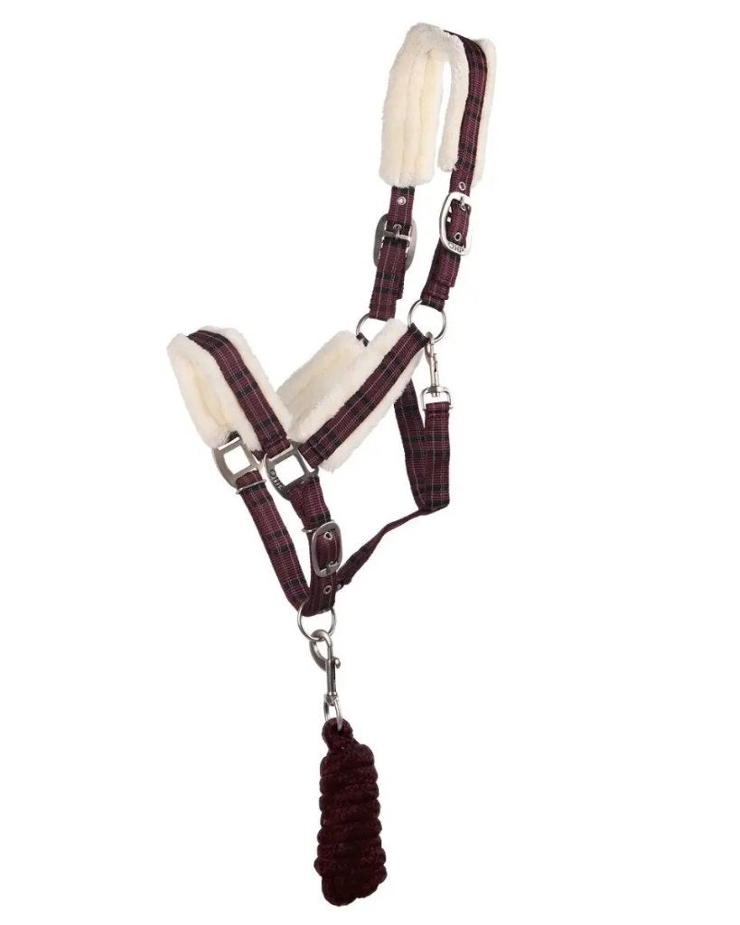 Halsterset Bont Mini shet, Dieren en Toebehoren, Paarden en Pony's | Overige Paardenspullen, Nieuw, Overige disciplines, Ophalen of Verzenden