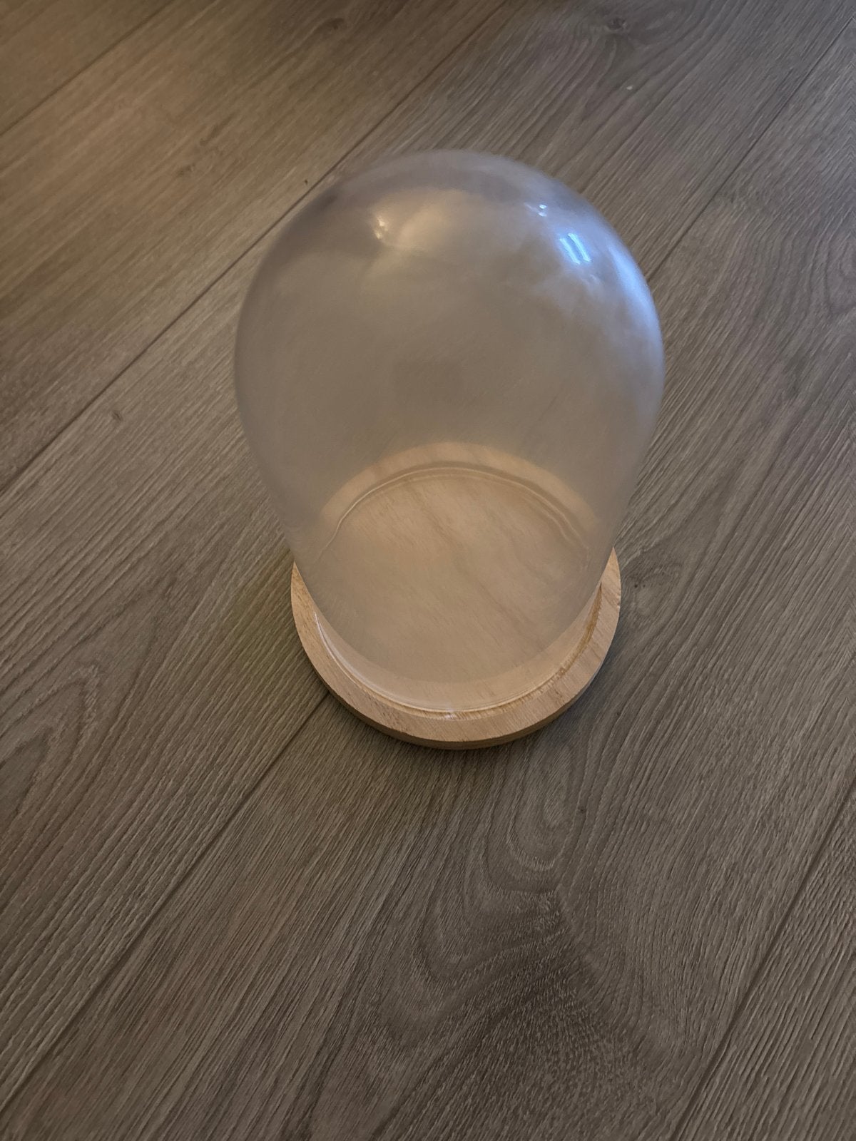 Glazen stolp met houten plateau voor plantjes, Glas, Ophalen, Zo goed als nieuw, Met plateau