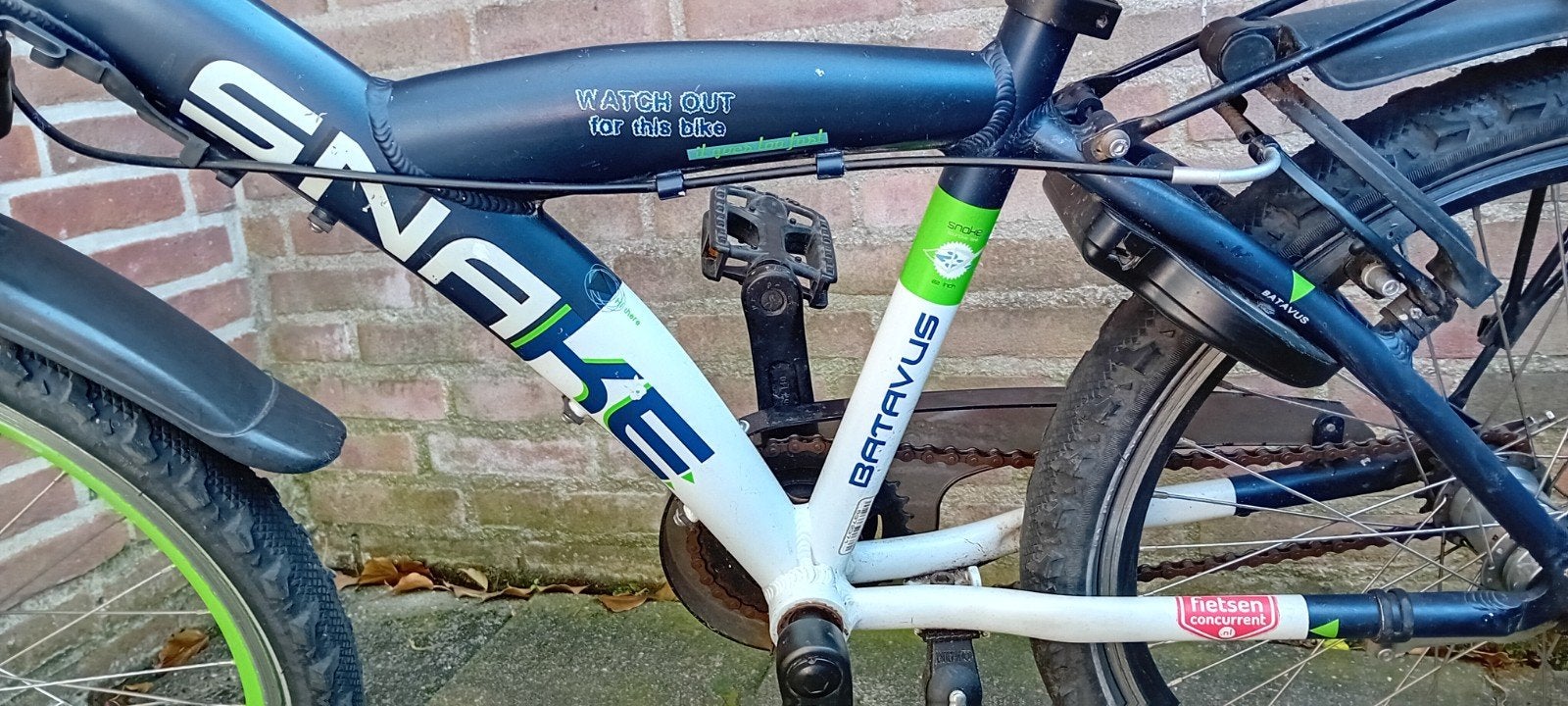 Batavus Snake 22 inch zgan, Fietsen en Brommers, Ophalen, 22 inch, Versnellingen, Batavus
