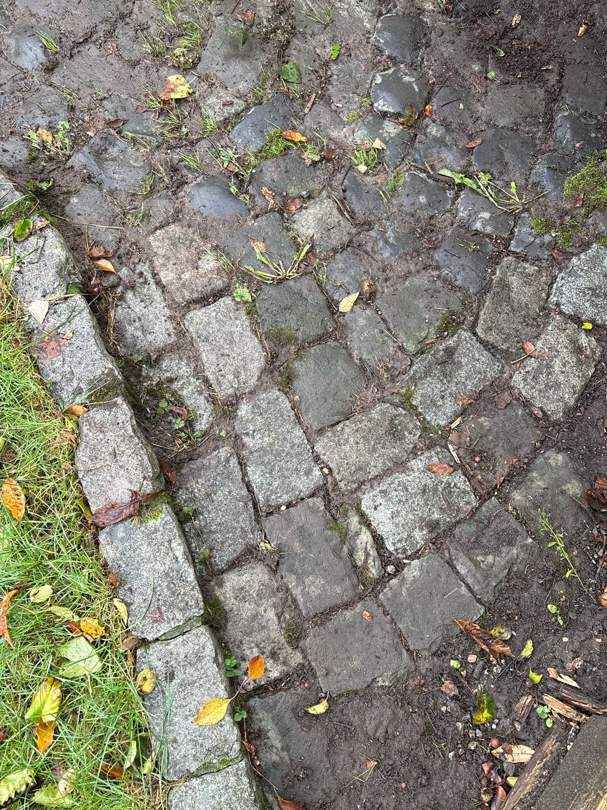 Gratis kinderkopjes, circa 12m2, Ophalen, Gebruikt, Overige typen, Natuursteen