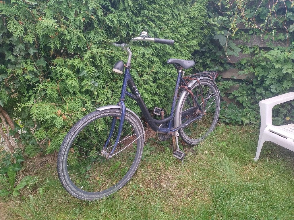 Dames fiets, Ophalen, Gebruikt, Terugtraprem, Overige merken
