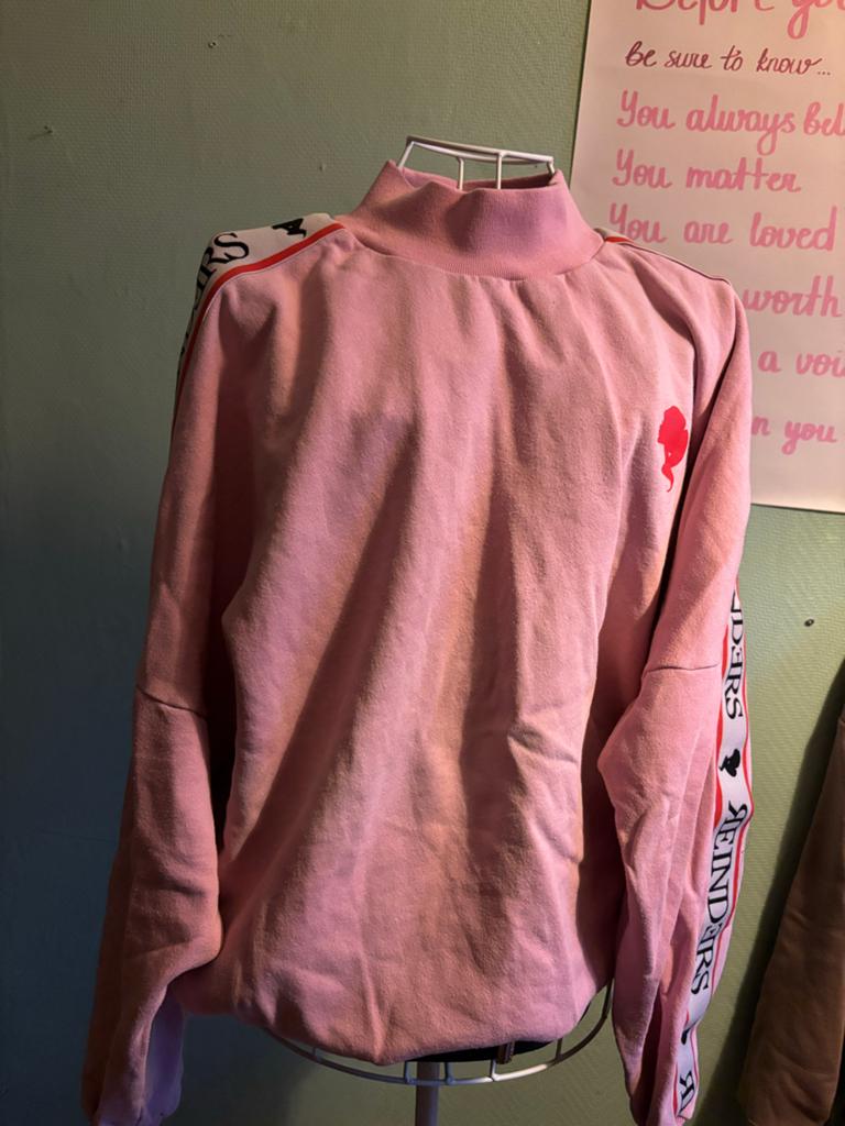Roze Reinders trui met logo op mouwen, Ophalen of Verzenden, Gedragen, Maat 38/40 (M), Roze