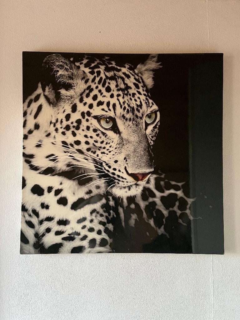 tijger canvas doek panter zwart wit schilderij, Huis en Inrichting, Woonaccessoires | Schilderijen, Tekeningen en Foto's, Ophalen