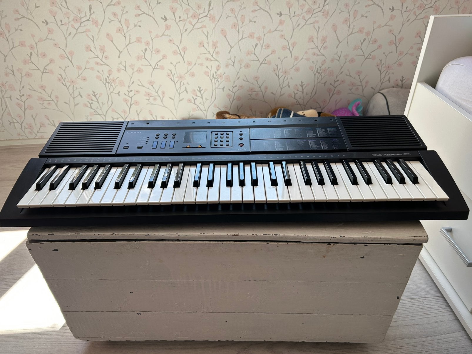 Casio Keyboard, Muziek en Instrumenten, Ophalen, Gebruikt, 61 toetsen, Casio