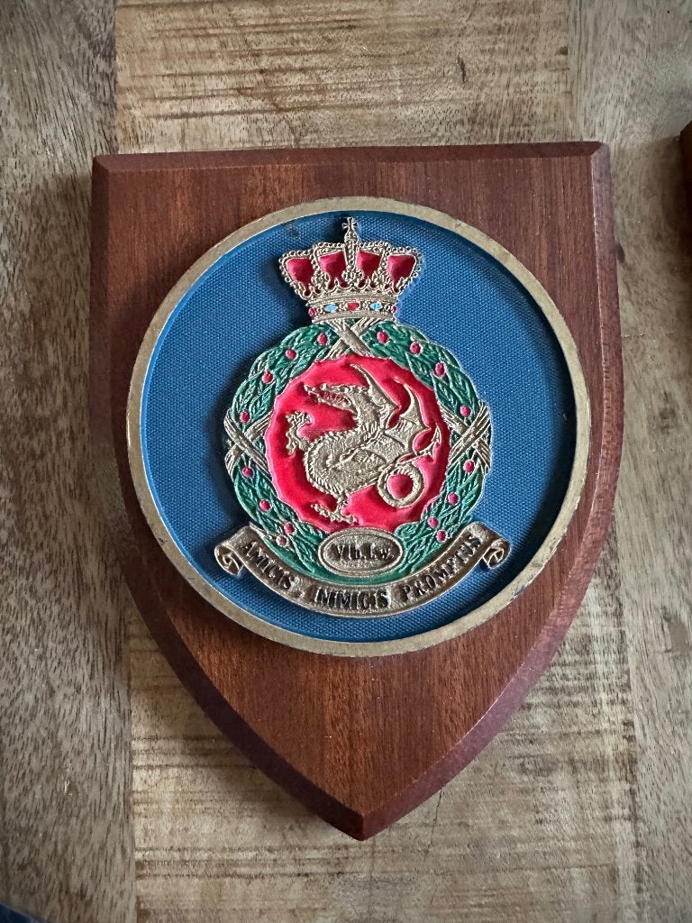 Vliegbasis Leeuwarden squadron shield, Verzamelen, Ophalen of Verzenden, Gebruikt, Overige typen
