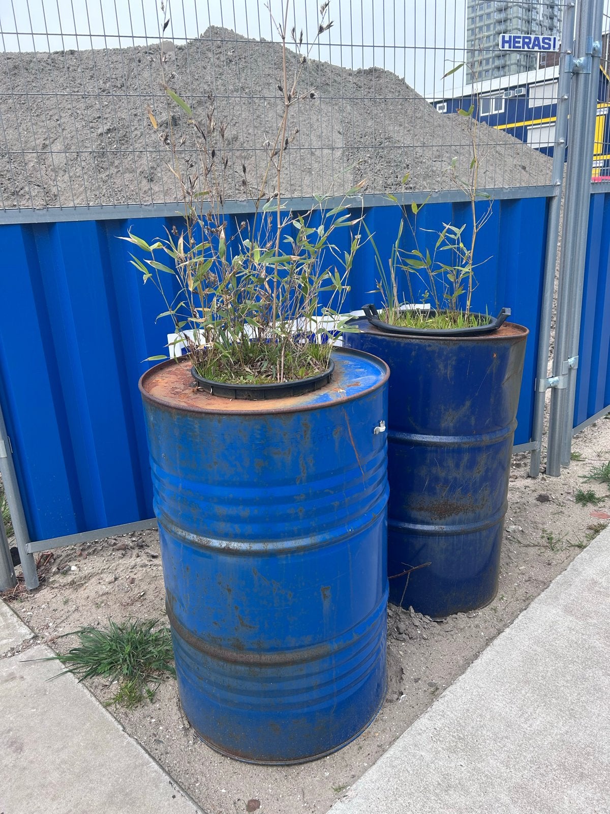 Oliedrums met bamboe - unieke plantenbakken, Ophalen, Gebruikt, Balkon, Rond