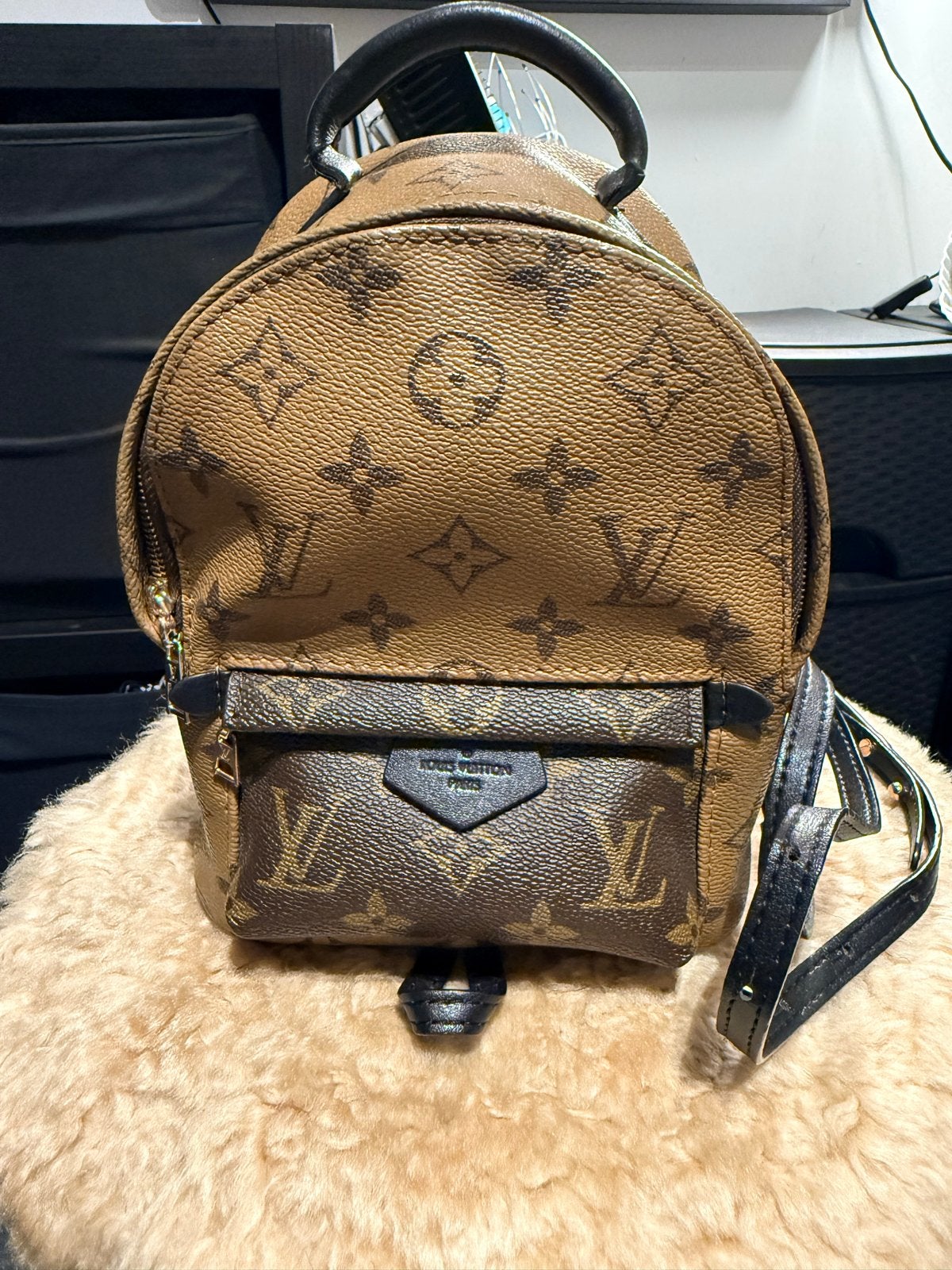 Louis Vuitton Palm Springs Mini Rugzak Monogram, Overige merken, Minder dan 30 cm, Ophalen of Verzenden, Minder dan 25 cm