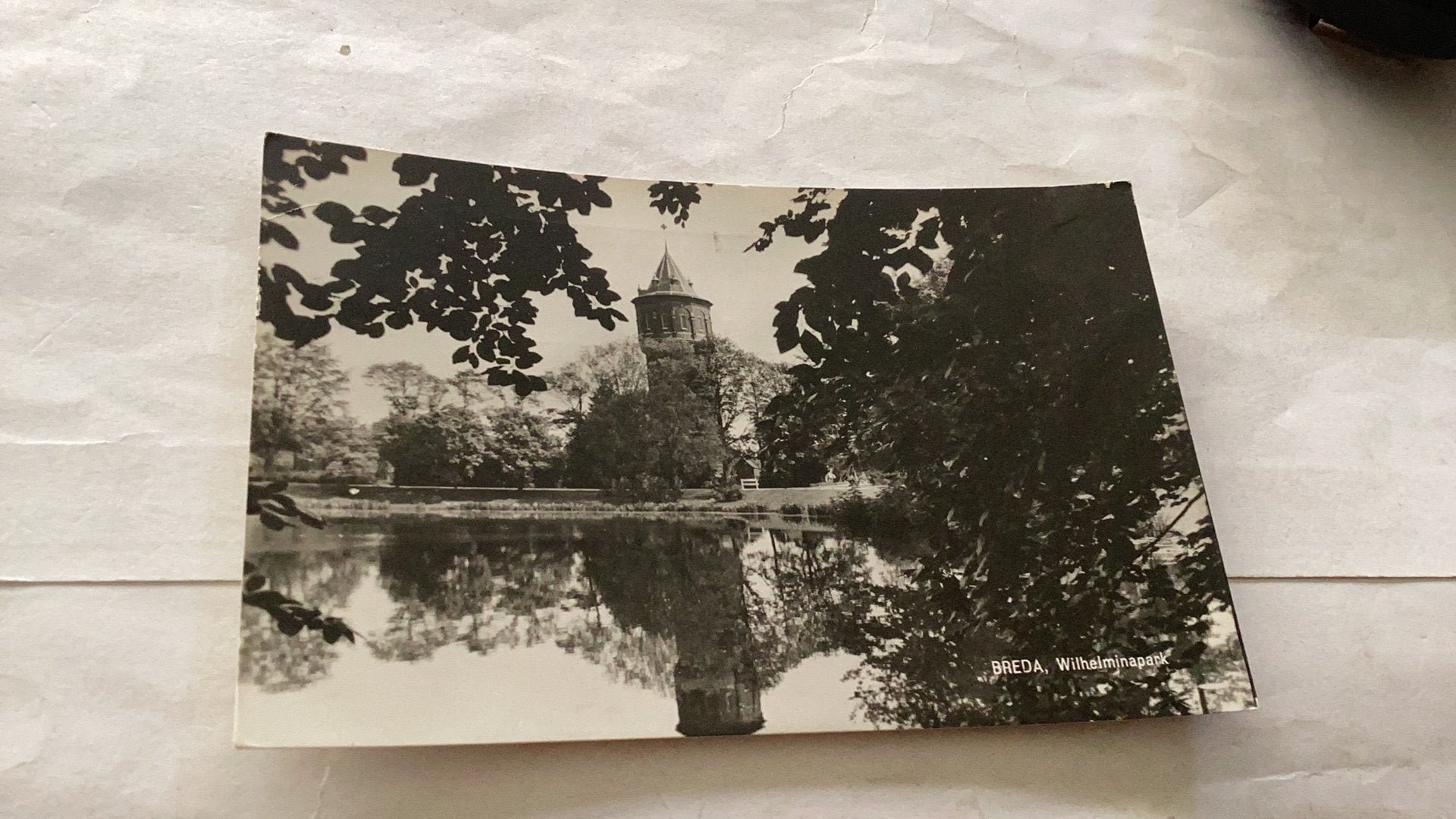 Breda Wilhelminapark, Ophalen of Verzenden, Voor 1920, Noord-Brabant