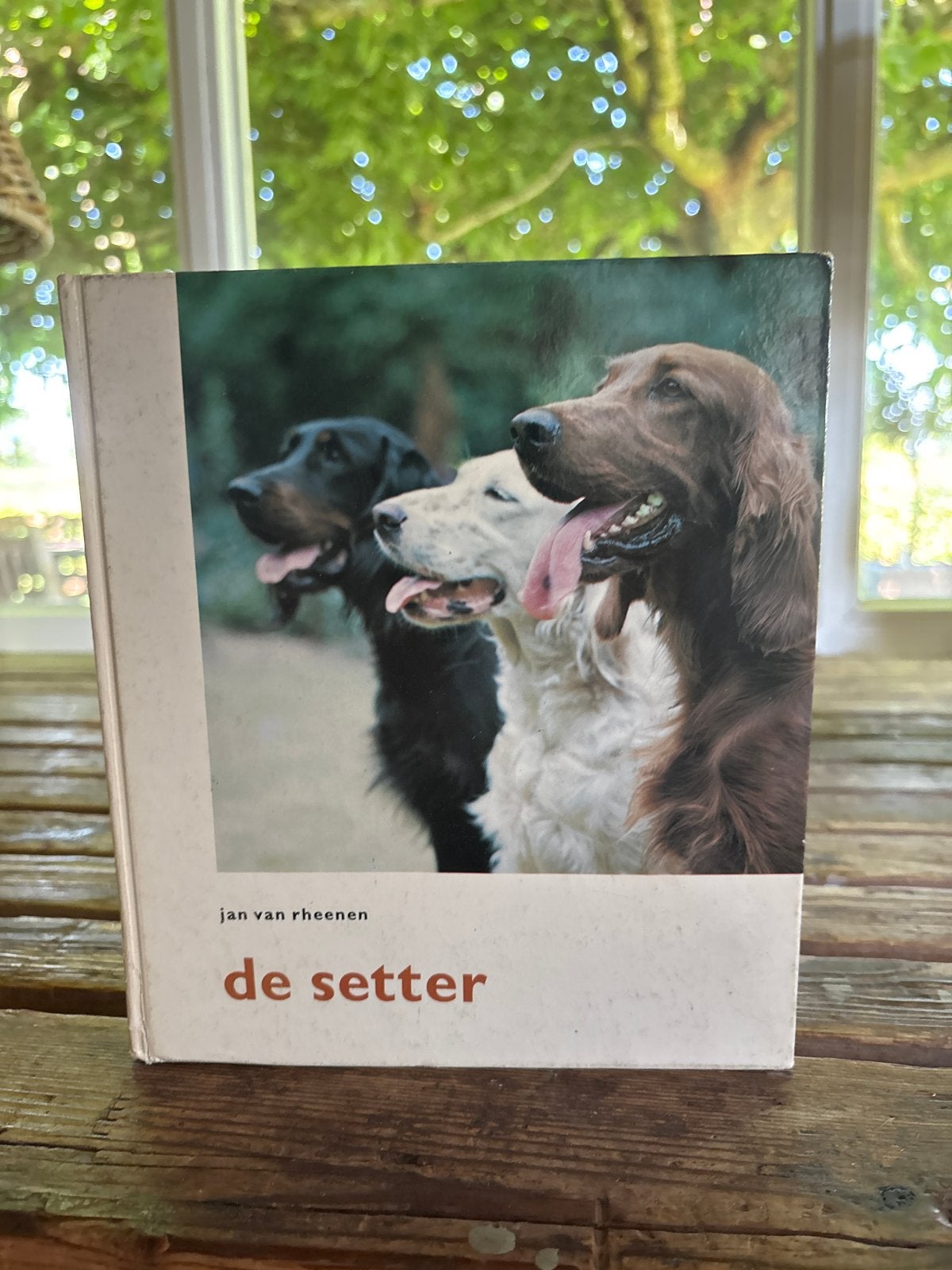 Boek: De Setter - Jan van Rheenen (Oud, maar goede staat), Boeken, Ophalen of Verzenden, Gelezen, Honden