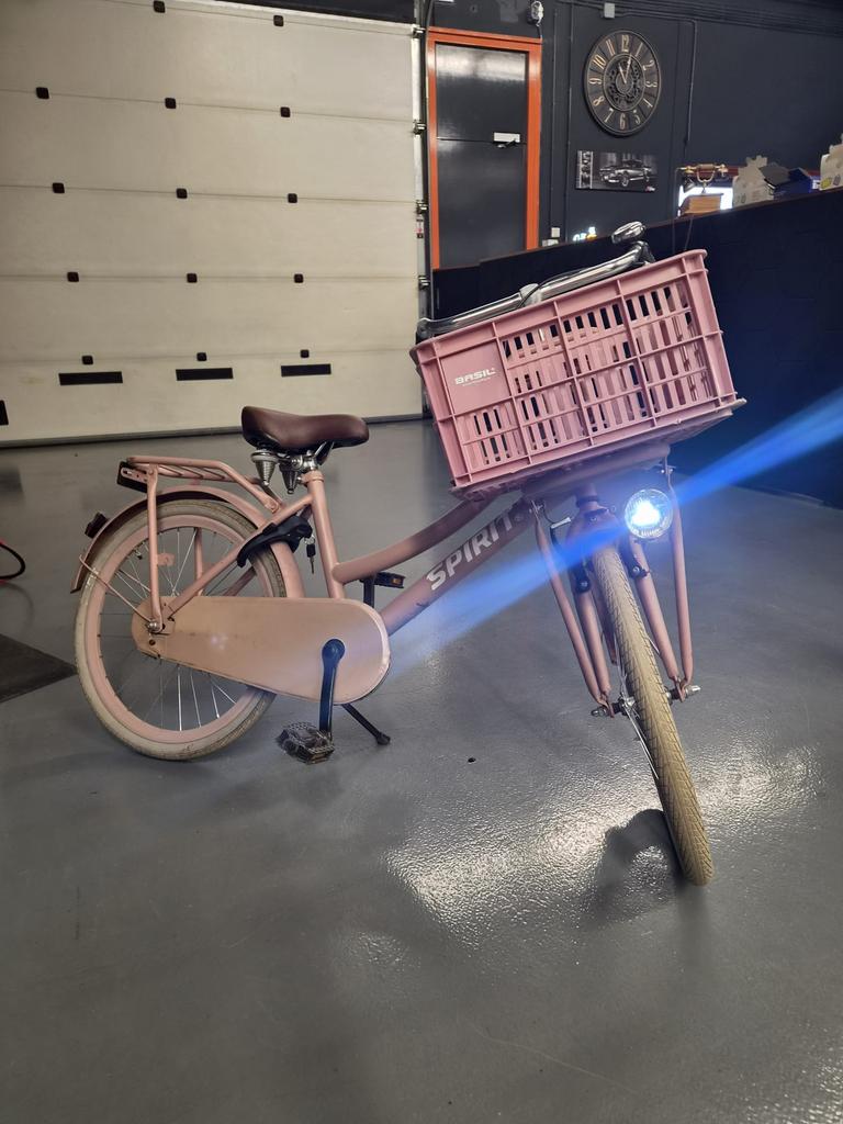 Meisjes fiets, Ophalen, Gebruikt, Terugtraprem, 22 inch