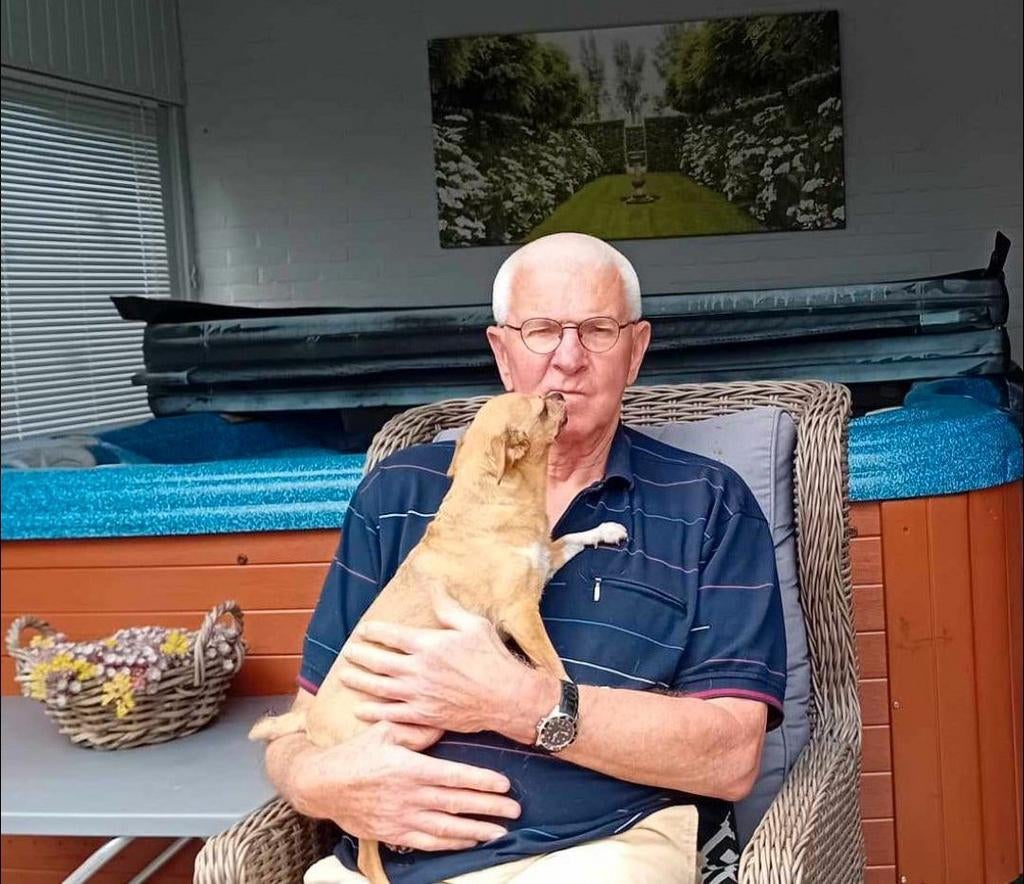 Ik ben op zoek naar een gezellig maatje, Contacten en Berichten, Man zoekt Vrouw