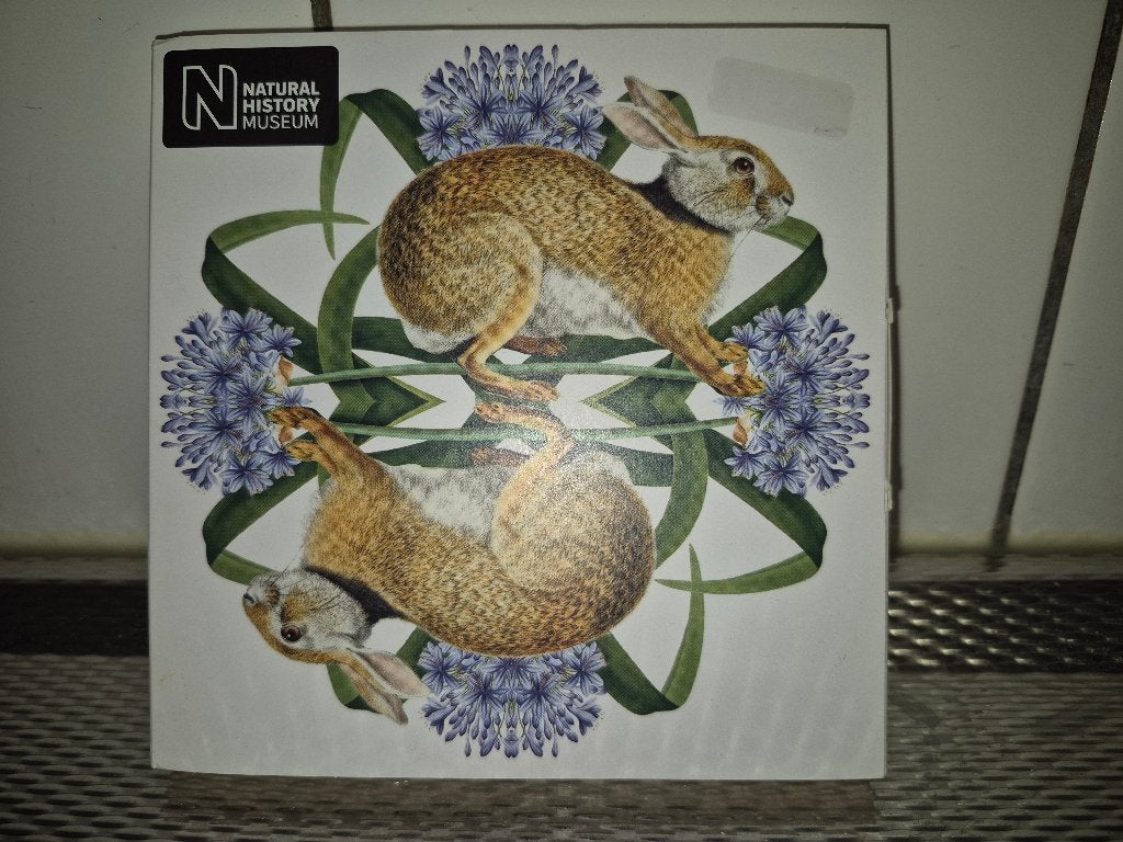 kaarten en enveloppen, Ophalen of Verzenden, Zo goed als nieuw