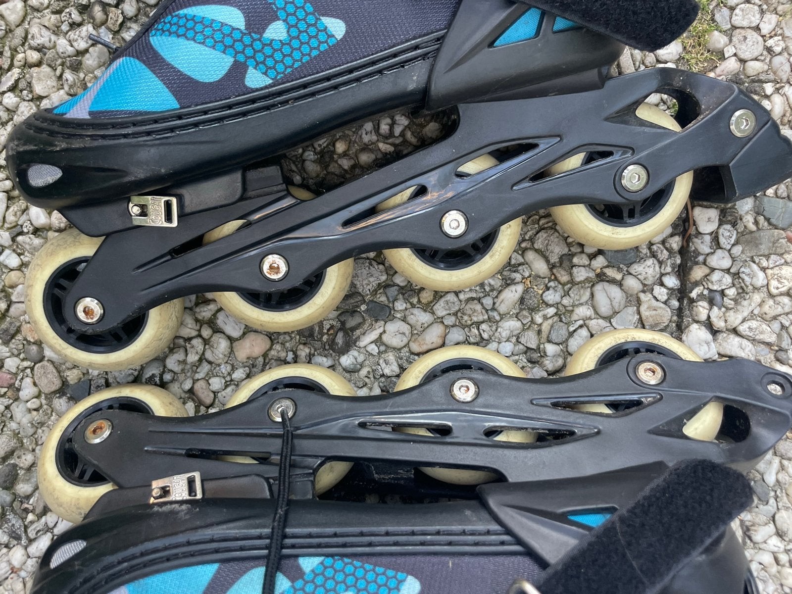 Skeelers Cougar verstelbare maat 39 t/m 42., Sport en Fitness, Kinderen, Inline skates 4 wielen, Ophalen, Overige merken