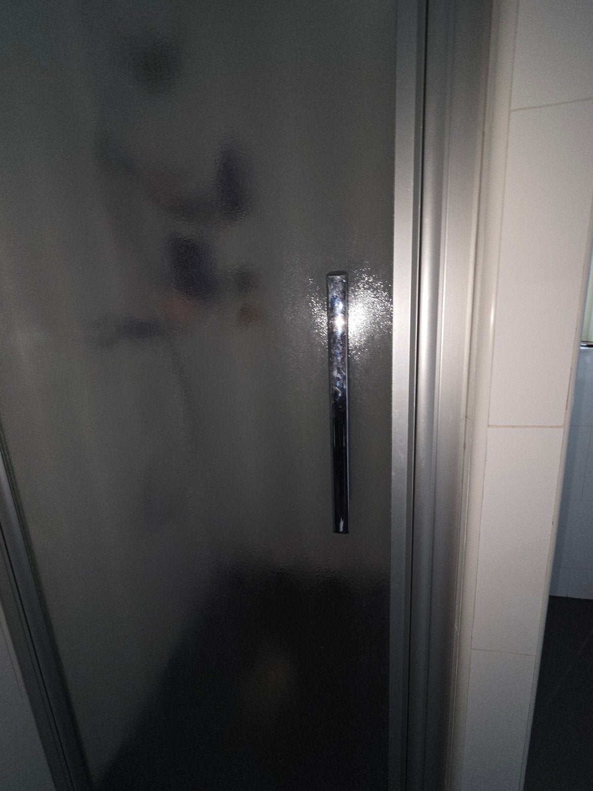 Gratis Douchedeur/nisdeur, Huis en Inrichting, Ophalen, Gebruikt