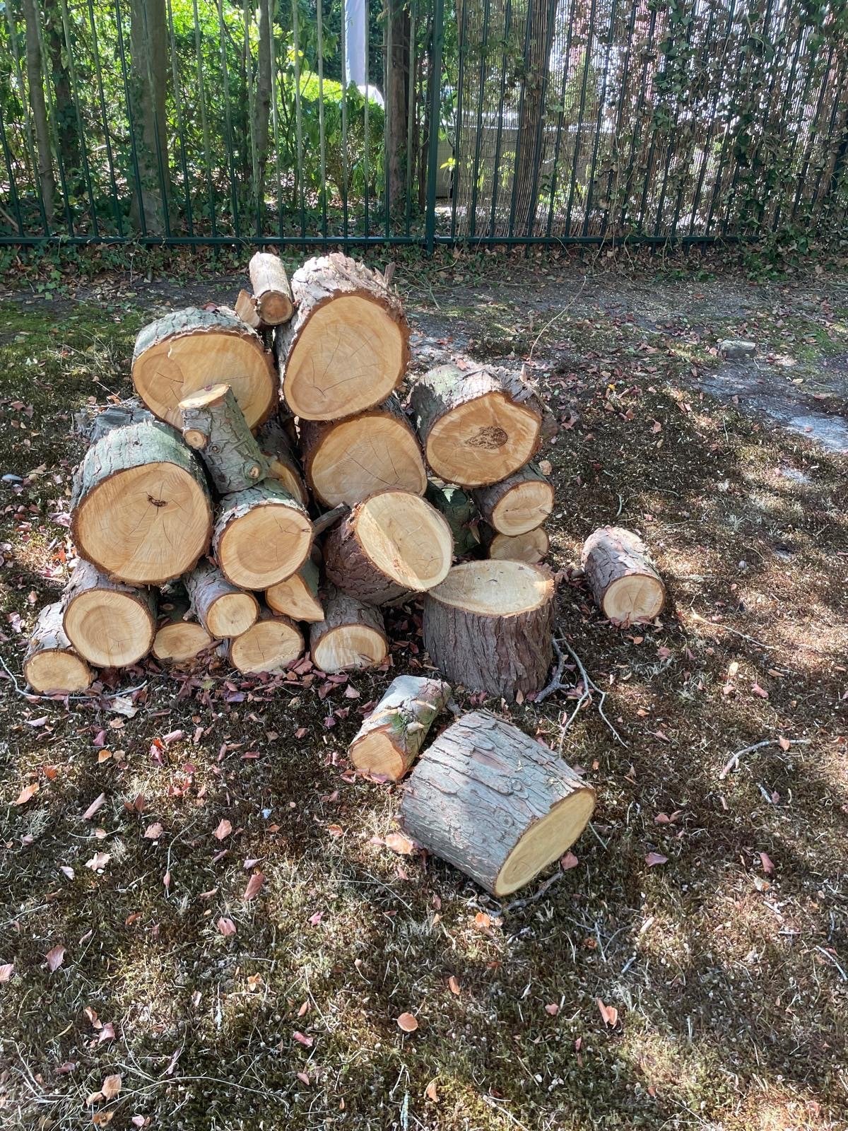 Verse houtblokken voor brandhout of decoratie, Tuin en Terras, 3 tot 6 m³, Ophalen of Verzenden, Overige houtsoorten, Blokken