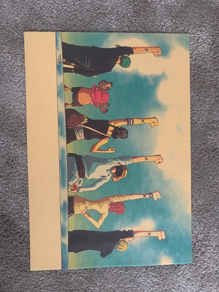 One Piece Strohoed Piraten Poster - 50x35 cm, Rechthoekig Liggend, Ophalen of Verzenden, Zo goed als nieuw, A1 t/m A3
