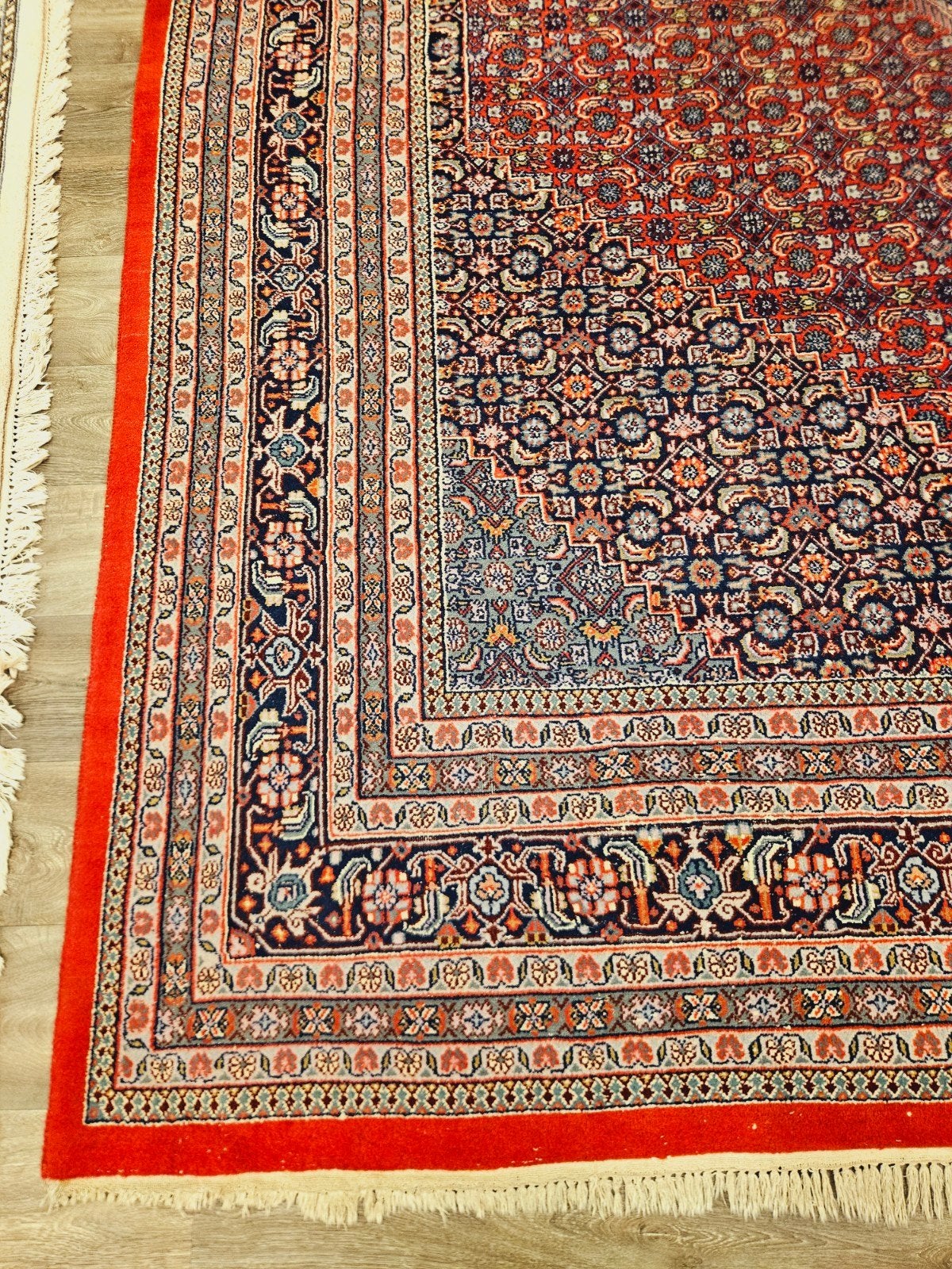 Perzisch Handgeknoopt Bidjar Tapijt. Prachtige kleuren., Huis en Inrichting, Crème, Verzenden, Perzisch, 200 cm of meer