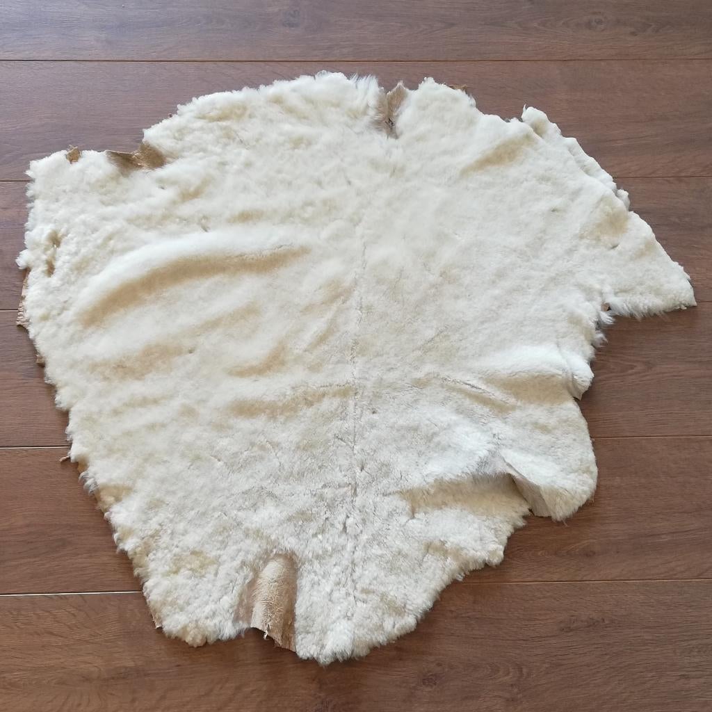 Authentieke schapenvacht nr. 59, Onbekend, Ophalen of Verzenden, Zo goed als nieuw, Onbekend